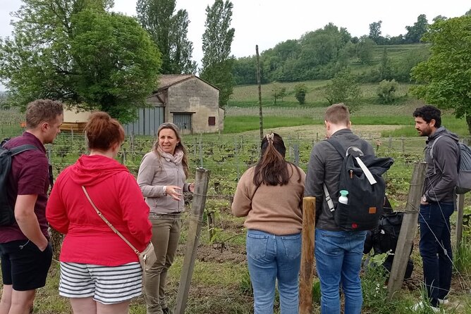 Saint-Emilion Afternoon Wine Tour - 2 Wineries & delicacies - Your guide can shape the entire afternoon
