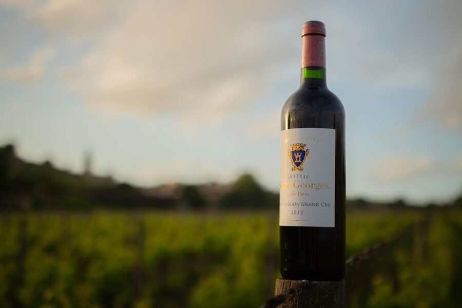 Saint-Émilion: Bordeaux Vineyard Tour and Wine Tasting - Three wines, three chances to taste with context