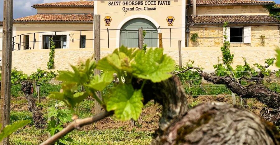 Saint-Émilion: Bordeaux Vineyard Tour and Wine Tasting - Why the small group makes a difference