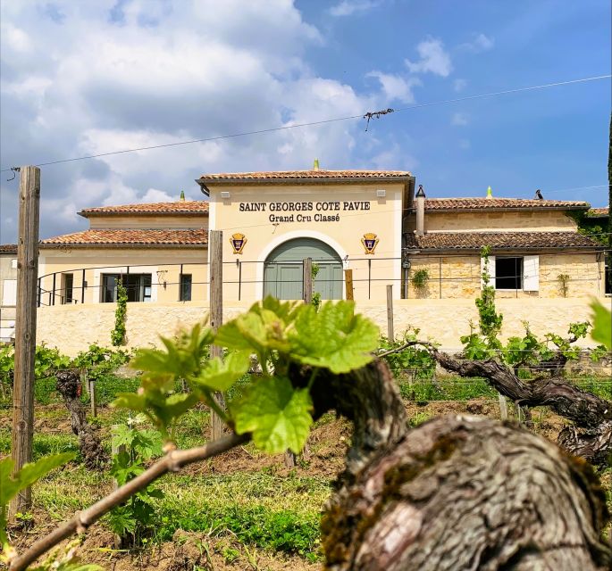 Saint-Émilion: Bordeaux Vineyard Tour and Wine Tasting - Who will enjoy this château visit most?