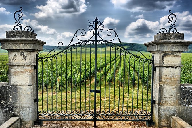 Saint Emilion Day Trip with Sightseeing Tour & Wine Tastings from Bordeaux - Who will enjoy this most