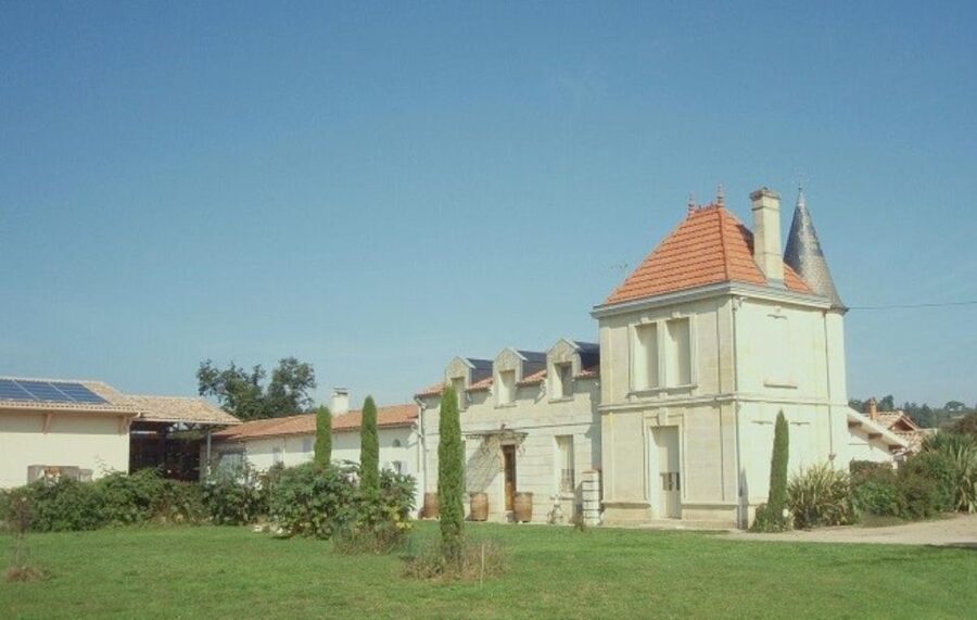 Saint-Émilion: Family Vineyard Visit with Wine Tasting - Starting among the Saint-Émilion vines