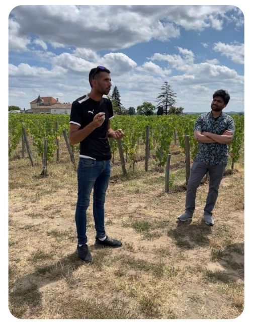 Saint-Émilion: Family Vineyard Visit with Wine Tasting - Buying bottles directly from the estate