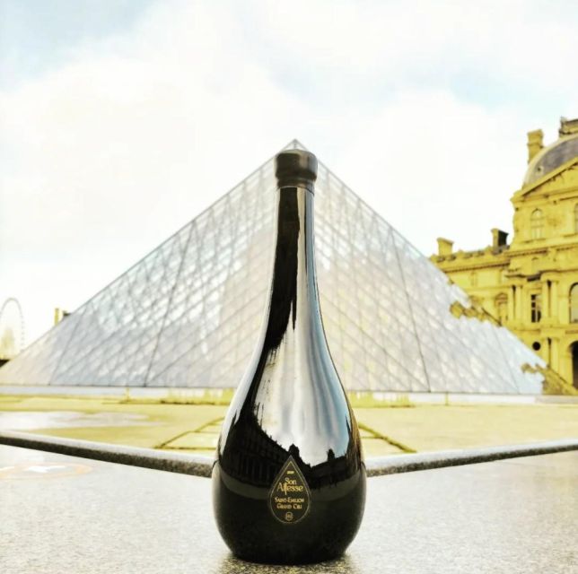 Saint-Émilion: Family Vineyard Visit with Wine Tasting - Who should book this château visit