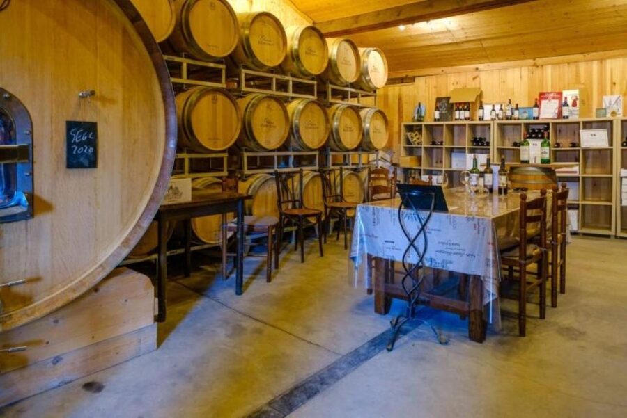 Saint-Émilion: Family Vineyard Visit with Wine Tasting - Booking details worth knowing