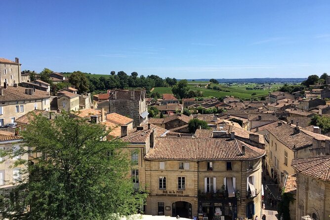 Saint Emilion Full Day Wine and Bike Tour - What the guides add to the day