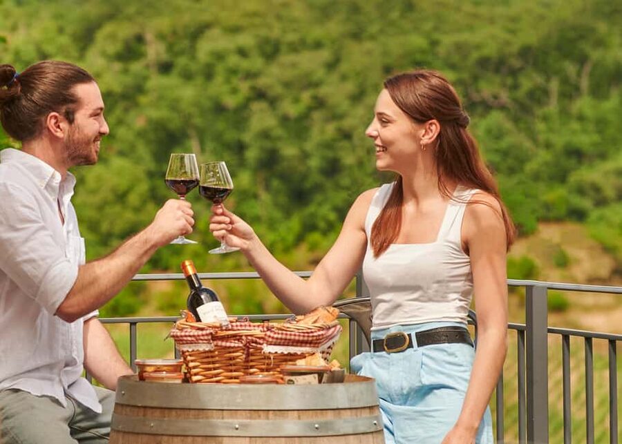 Saint-Emilion: Grand Cru Classé Guided Winery Visit & Picnic - Two Saint-Émilion estates, two ways to make wine