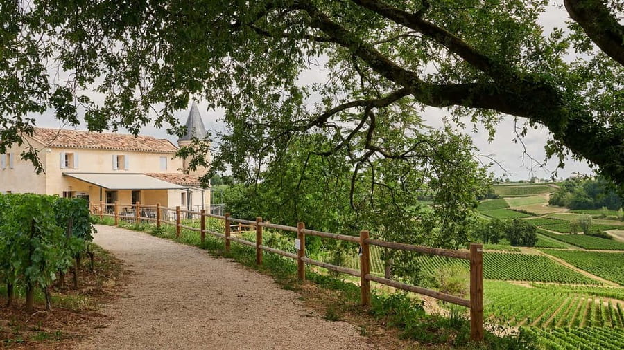 Saint-Emilion: Grand Cru Classé Guided Winery Visit & Picnic - Starting at Château La Croizille