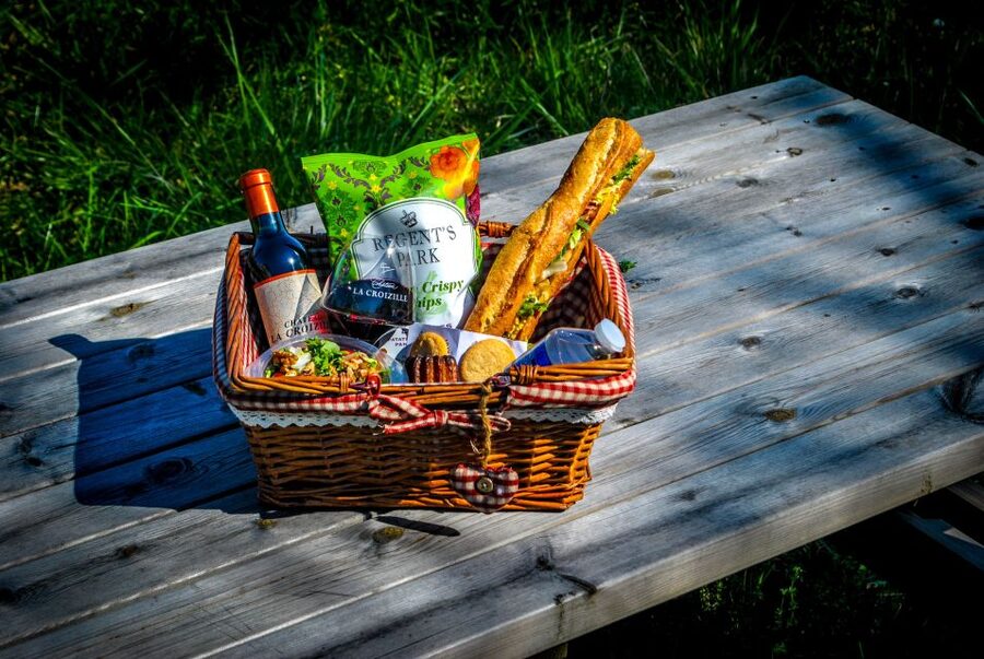 Saint-Emilion: Grand Cru Classé Guided Winery Visit & Picnic - The view is part of the meal