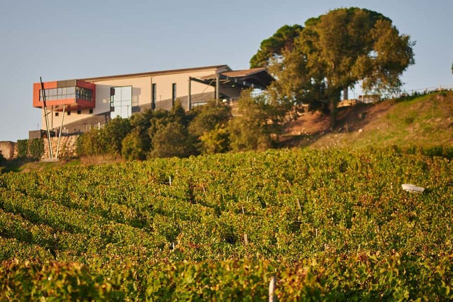 Saint-Émilion: Grand Cru Classé Winery Visit and Tasting - Key points to know before you book