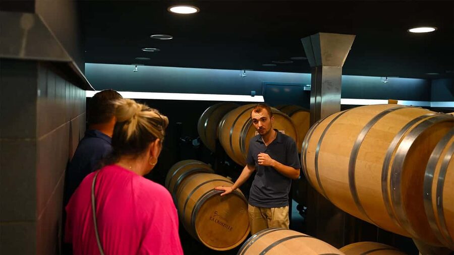 Saint-Émilion: Grand Cru Classé Winery Visit and Tasting - Who should choose this wine visit?