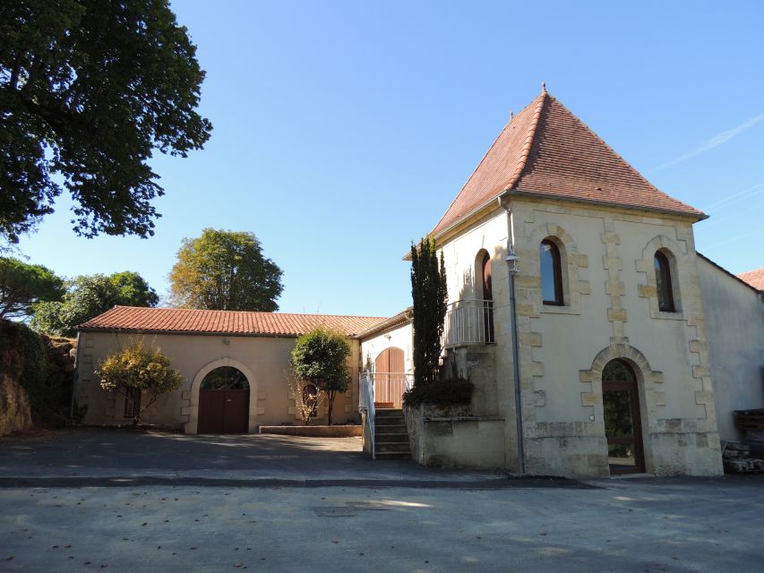 Saint-Émilion: Grand Cru Classé Winery Visit and Tasting - Learning the Bordeaux wine process