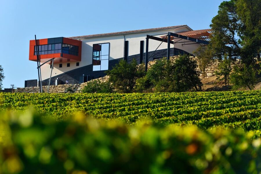 Saint-Émilion: Grand Cru Classé Winery Visit and Tasting - Is the $23 price good value?