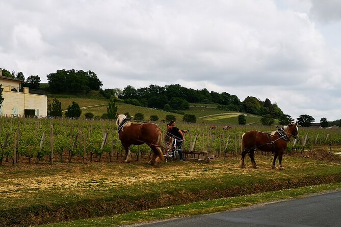 Saint Emilion Half-Day Trip with Wine Tasting & Winery Visit from Bordeaux - Leaving Bordeaux for Saint-Émilion