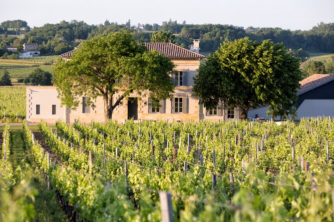 Saint Emilion Half-Day Trip with Wine Tasting & Winery Visit from Bordeaux - My call: book it for an introduction, not a full Saint-Émilion day
