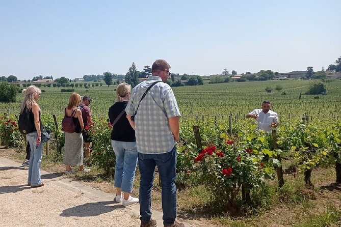 Saint Emilion Morning Wine Tour - Winery & Tastings from Bordeaux - Weather, cancellations, and practical planning
