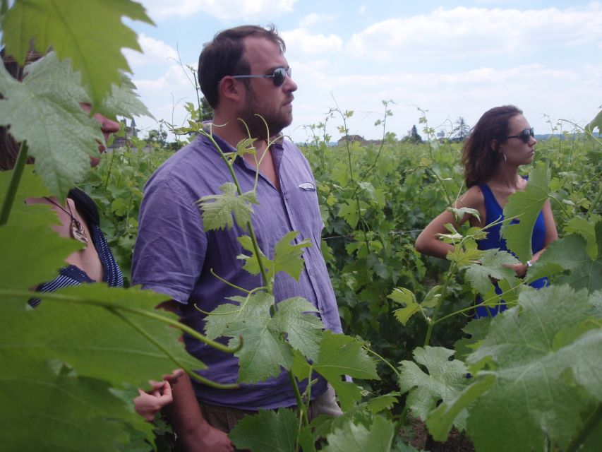 Saint-Émilion: Vineyard Walking Tour and Tasting - Key points at a glance