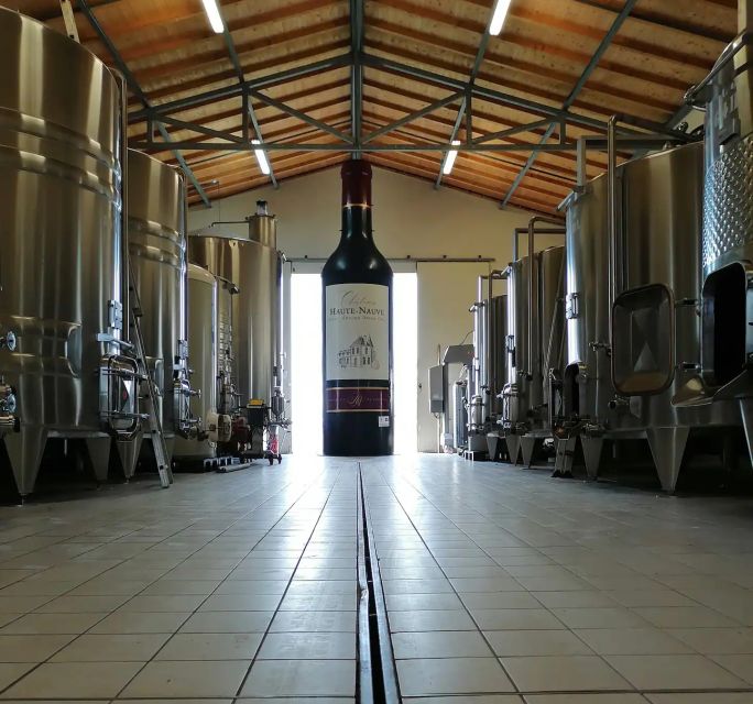 Saint-Émilion: Vineyard Walking Tour and Tasting - Why this Saint-Émilion tour feels personal