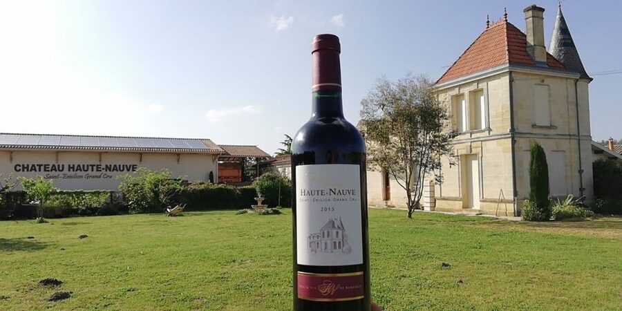 Saint-Émilion: Vineyard Walking Tour and Tasting - From grapes to fermentation tanks