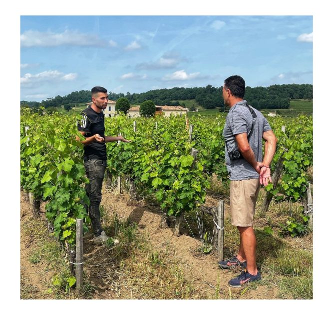 Saint-Émilion: Vineyard Walking Tour and Tasting - Is $29 a good value?