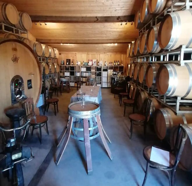 Saint-Émilion: Vineyard Walking Tour and Tasting - Walking the vines near Saint-Émilion