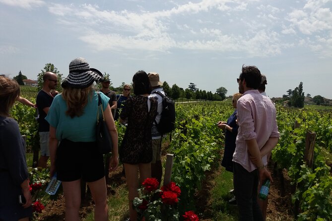 Saint Emilion Wine Tour Tasting Half Day from Bordeaux - Key points to know before you book