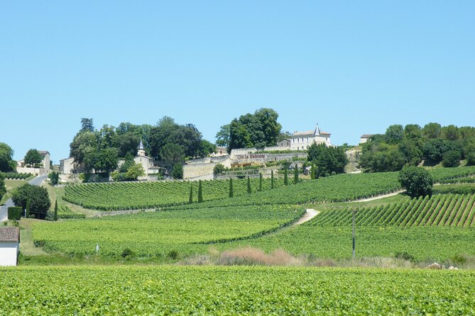 Saint Emilion Wine Tour Tasting Half Day from Bordeaux - Second winery: a more personal family estate