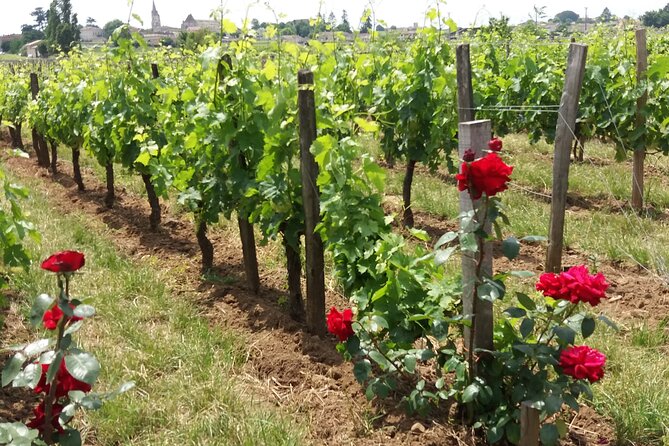 Saint Emilion Wine Tour Tasting Half Day from Bordeaux - Saint-Émilion village in about one hour