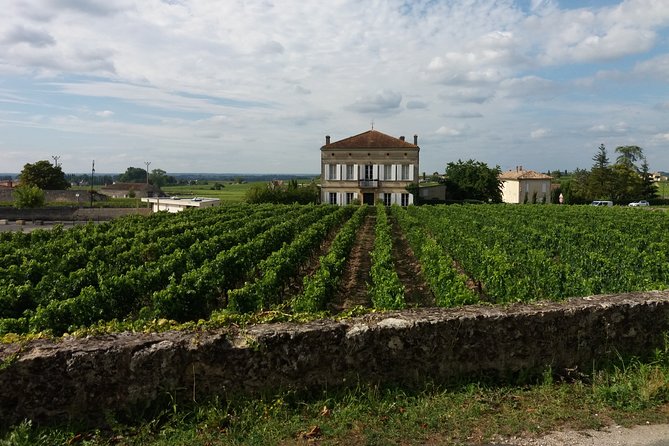 Saint Emilion Wine Tour Tasting Half Day from Bordeaux - What the tastings are really like