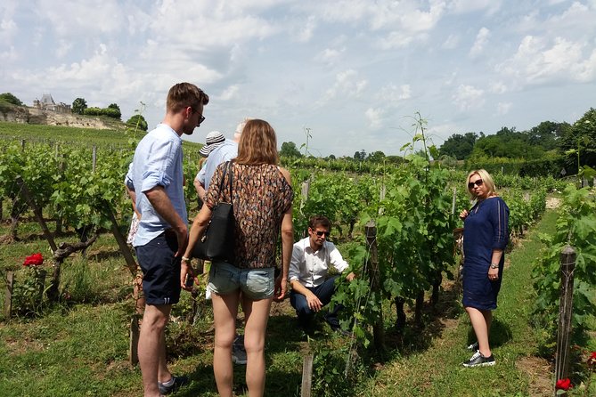 Saint Emilion Wine Tour Tasting Half Day from Bordeaux - Price and value at $116.14