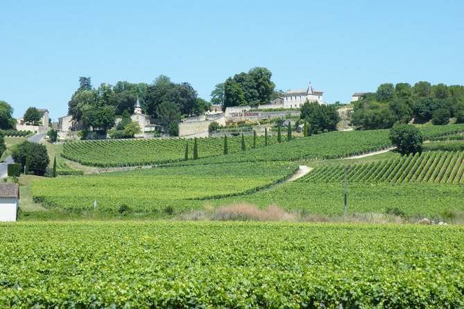 Saint Emilion Wine Tour Tasting Half Day from Bordeaux - The drive to Saint-Émilion sets the table