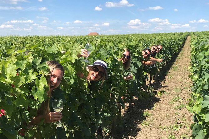 Saint-Emilion Winery Morning Tour with Local Guide - Visiting a local château and learning the basics