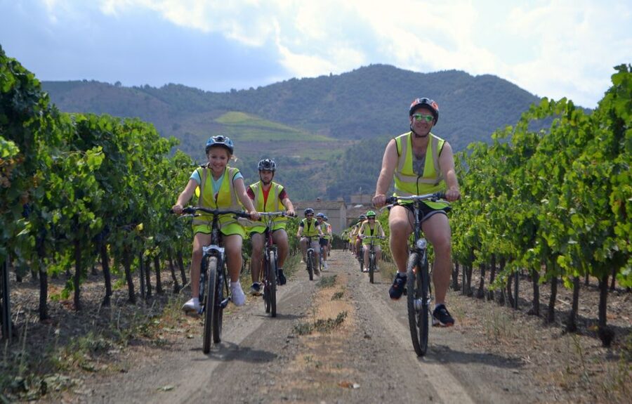 Salou: Easy Bike Tour with Wine Tasting - Value at $60 per person