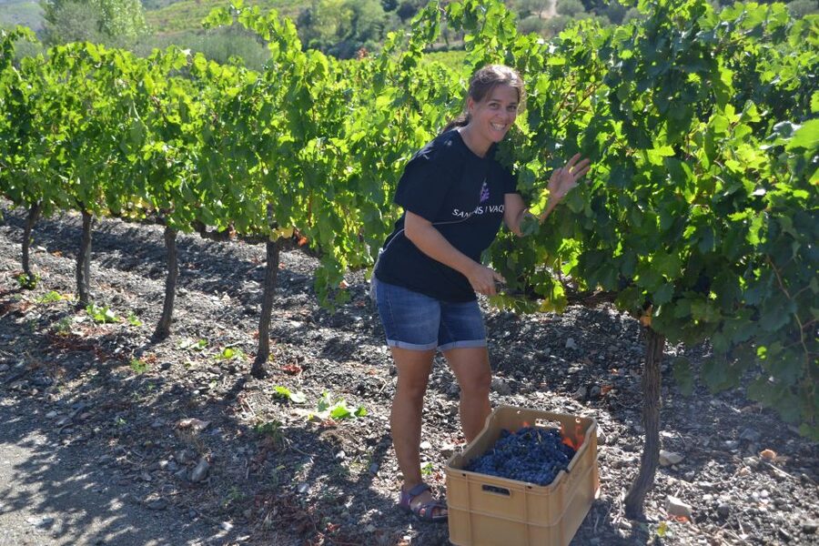 Salou: Easy Bike Tour with Wine Tasting - Booking details that matter