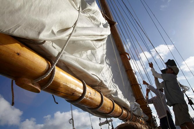 San Diego Bay Sail Aboard a Vintage Yacht Beer and Wine Included - The Rady Shell, Convention Center, and the final harbor views