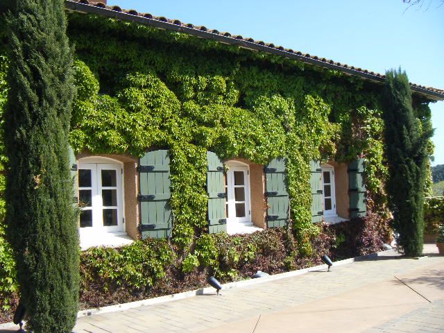San Francisco: Half-Day Wine Country Tour with Wine Tastings - Key points to know before booking
