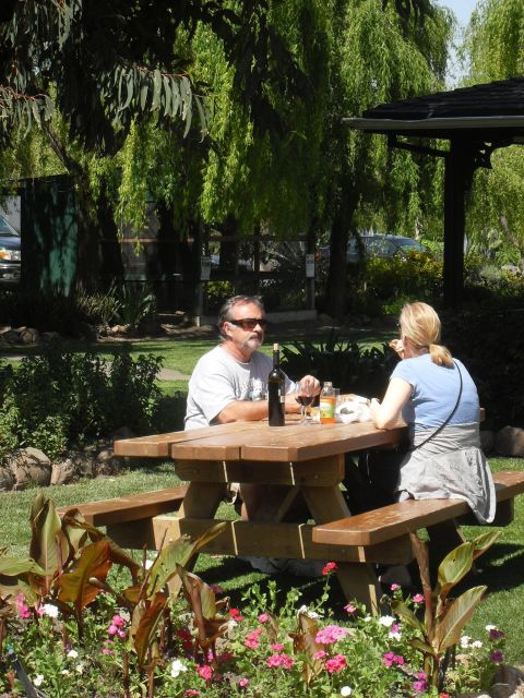 San Francisco: Half-Day Wine Country Tour with Wine Tastings - Why this half-day trip works in a busy San Francisco schedule