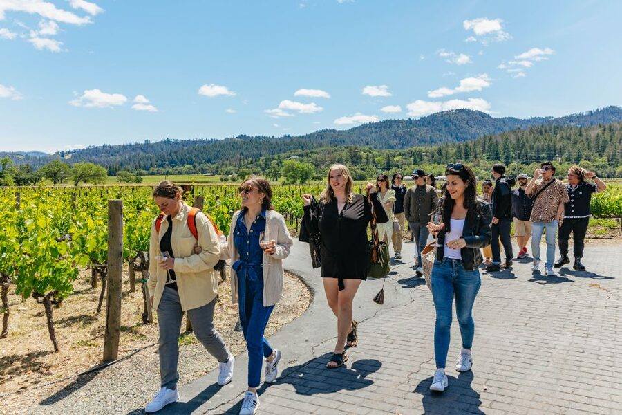 San Francisco: Luxury Small-Group Wine Tour of Napa Valley - What the $299 price really covers