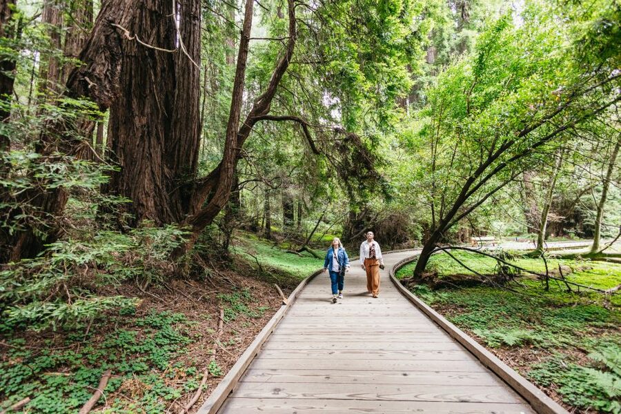 San Francisco: Muir Woods, Napa & Sonoma Valley Wine Tour - Golden Gate Bridge photo stop
