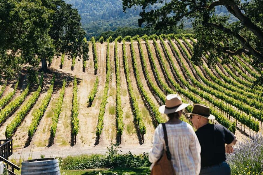 San Francisco: Napa and Sonoma Valley Wine Tour - Key points to know before you book