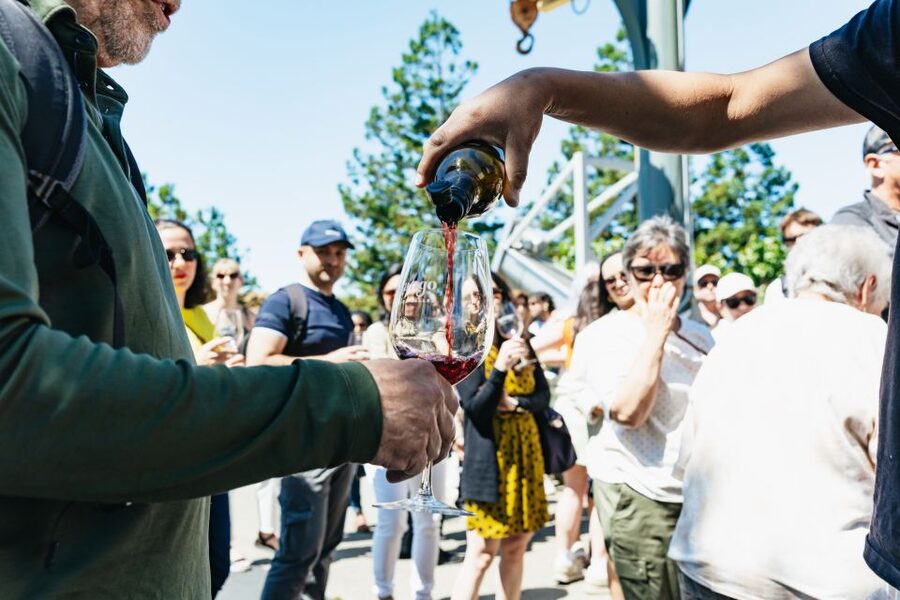San Francisco: Napa and Sonoma Valley Wine Tour - Three wineries, two valleys, one long day
