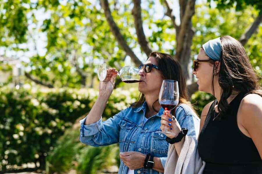 San Francisco: Napa and Sonoma Valley Wine Tour - What the winery visits are really like