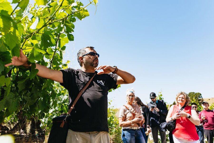 San Francisco: Napa and Sonoma Valley Wine Tour - The guides make the long coach rides worthwhile