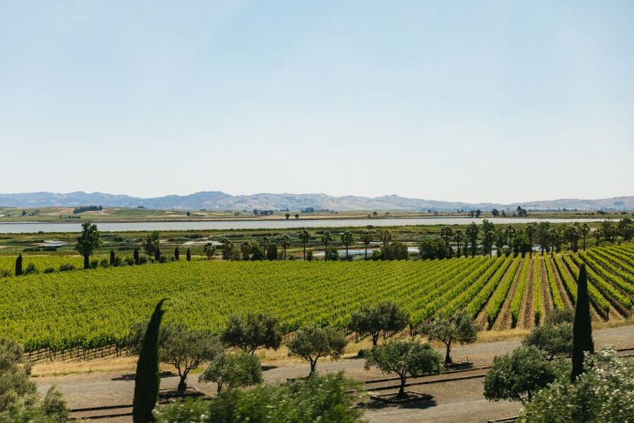 San Francisco: Napa and Sonoma Valley Wine Tour - Timing, meeting points, and practical details
