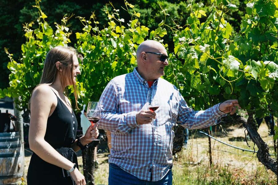 San Francisco: Napa and Sonoma Valley Wine Tour - Should you book it?