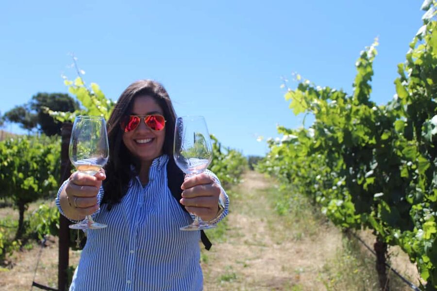 San Francisco: Napa and Sonoma Valley Wine Tour - The Golden Gate Bridge photo stop