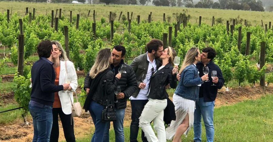 San Francisco: Napa Valley Half-Day Wine Tour with Tastings - A practical lesson in Napa winemaking
