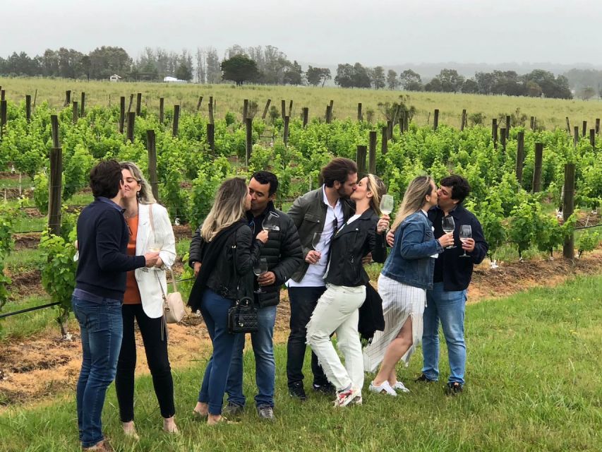 San Francisco: Napa Valley Half-Day Wine Tour with Tastings - What the two winery visits are really like