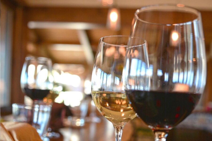 San Gimignano: Lunch or Dinner at a Winery with Wine Tasting - Should you book Tenuta Torciano?