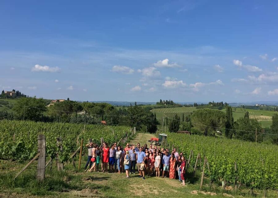 San Gimignano: Premium Wine Tour with Lunch - Key points at a glance